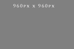 test_gallery_image