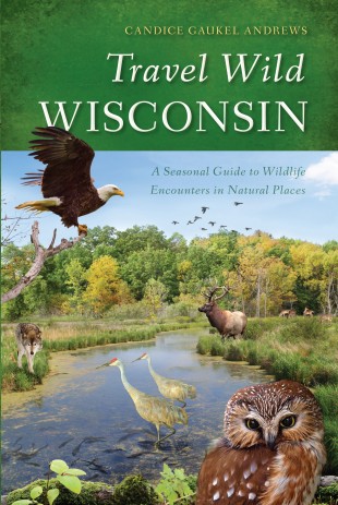 Book Cover: Guide to Wisconsin Wildlife