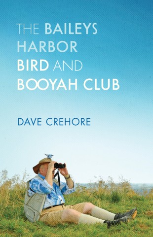 Cover Art for Novel