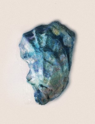 Oyster Shell